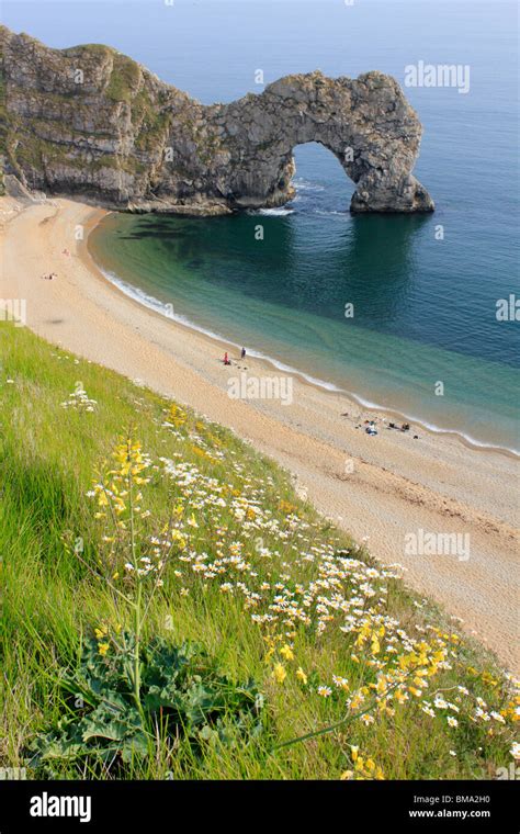 Durdle Door Natural Limestone Arch On The Jurassic Coast Near West