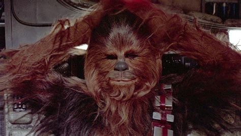 Why Chewbacca Needed Protection From Hunters While Filming Star Wars
