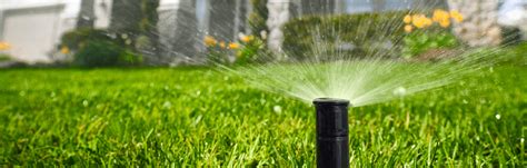 Yes, you should water your lawn in order for your lawn to benefit from the fertilizer. Lawn Tips "Watering"My Fertilizing Company