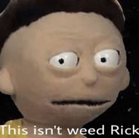 This Isn T Weed Rick Shaggy This Isn T Weed Know Your Meme