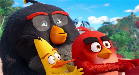 In the 3d enlivened satire, the angry birds movie, we'll at long last discover why the flying creatures are so irate. Angry birds 2 full movie download in 480 p and 720 p in ...