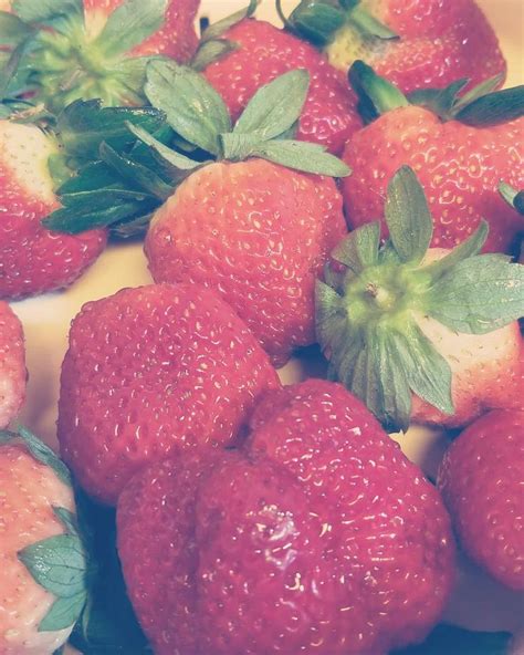 Strawberry Season Is Here Quick Enjoy All The Fl Strawberries While They Re Super Delicious