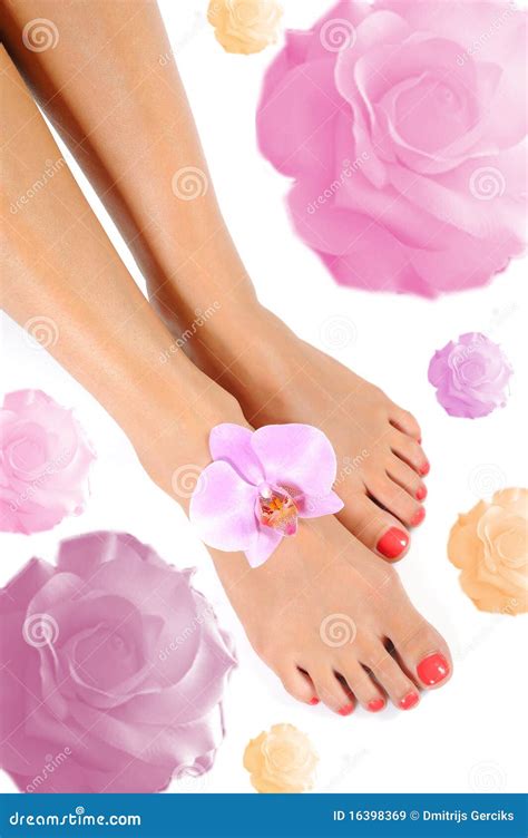 Beautiful Feet Leg With Perfect Spa Pedicure Stock Image Image Of