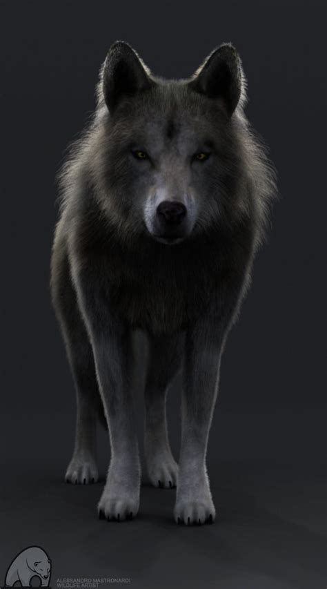 Artstation Grey Wolf Wip