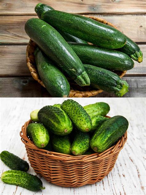 Zucchini Vs Cucumber What Are The Differences