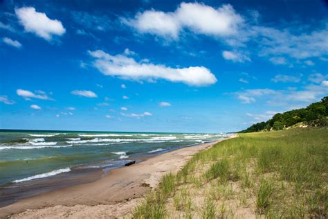 Indiana Dunes State Park Lake Michigan Dunes Nature Preserve July