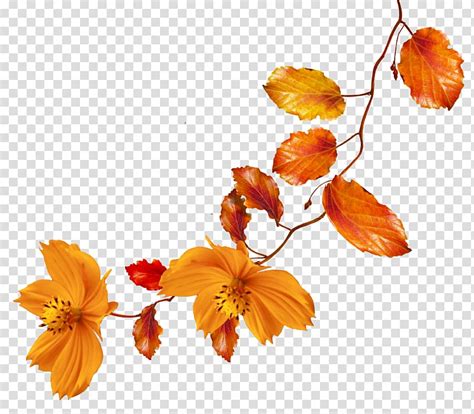 Free Download Autumn Flower Autumn Leaves Transparent Background Png Clipart Hiclipart