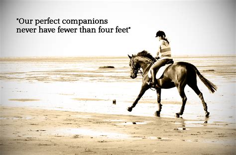 Famous Quotes Horse Beach Horse Riding Uk