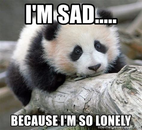30 Lonely Memes To Make You Feel Less Alone