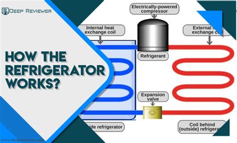How The Refrigerator Works Heres The Best Guide 2020