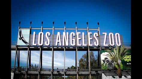 Zoologico De Los Angeles