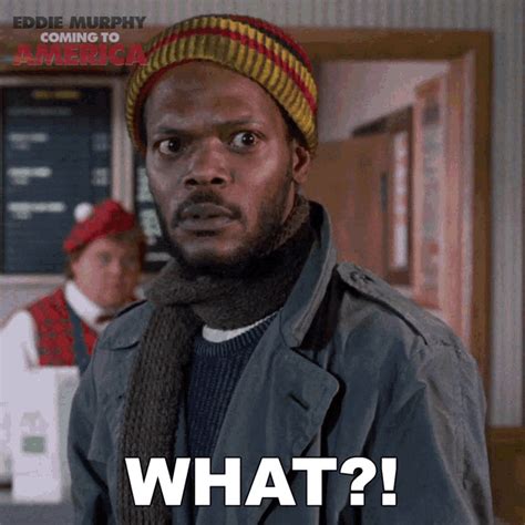 What Samuel L Jackson GIF What Samuel L Jackson Coming To America