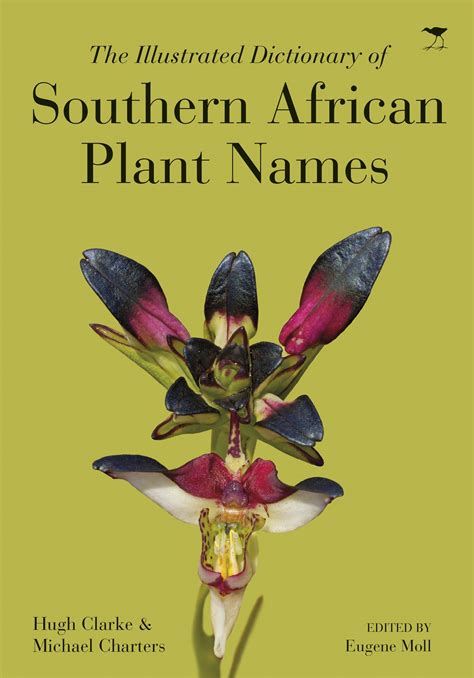 The Illustrated Dictionary Of Southern African Plant Names Jacana