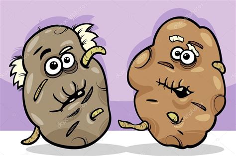 Old Potatoes Potatoes Cartoon Illustration Stock Vector Image By