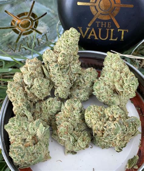 Strain Review Gg4 By The Vault The Highest Critic