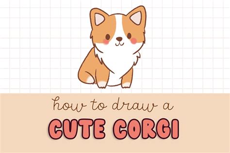 How To Draw A Cute Corgi Easy Beginner Guide