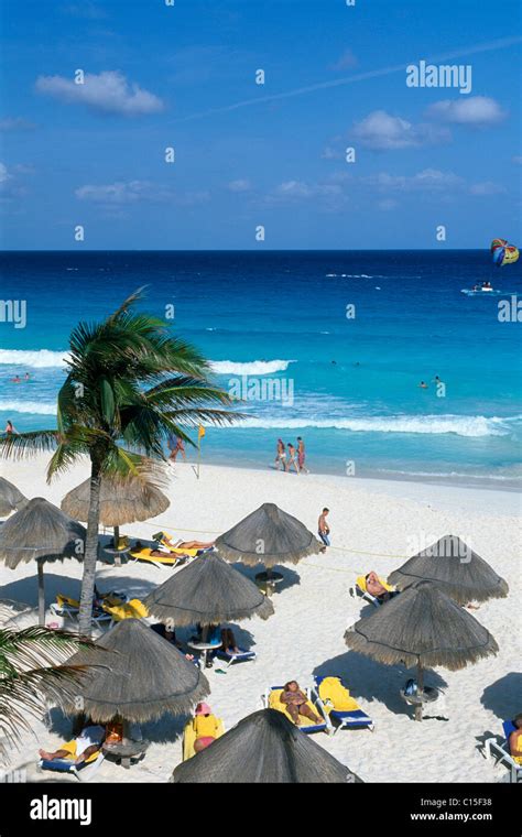 Cancun Beach Mexico Palm Tree Hi Res Stock Photography And Images Alamy