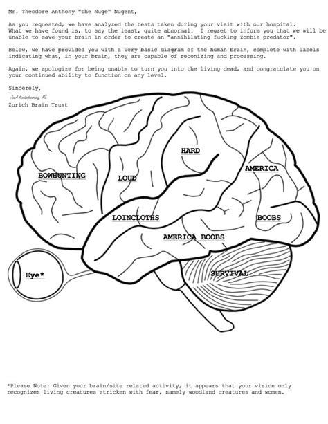 Printable Brain Anatomy Coloring Pages
