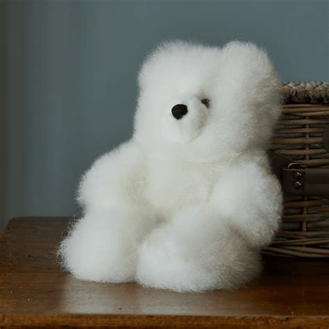 Fluffy White Teddy Bear Ubicaciondepersonascdmxgobmx