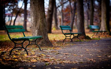 download wallpaper for 1920x1200 resolution park walkway bench trees autumn nature and