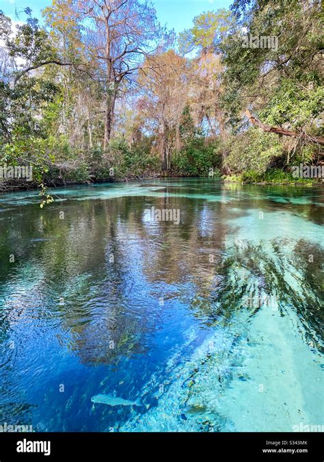 Weeki Wachee Springs State Park Florida Stock Photo Alamy