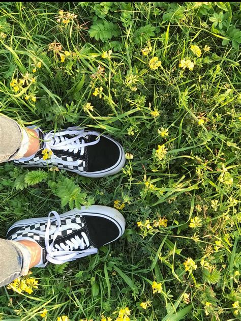 Viki, Vans Authentic Sneaker, Vans Sneaker, Converse, Aesthetic