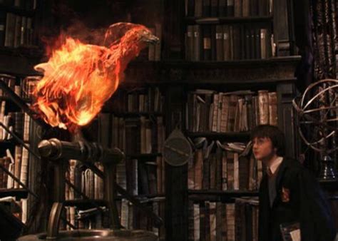 Fawkes Doing What Phoenix Birds Do Harry Potter And The Chamber Of Secrets Phoenix Harry