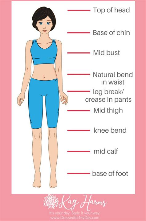 How To Discover Your Body Proportions Measurements Short Legs Long