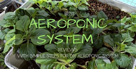 This is a great starter system. Best Aeroponic System Reviews For 2018: With Simple Steps ...