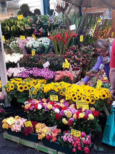 Free Photo Flowers Florist Bouquet Flower Market Store Selling