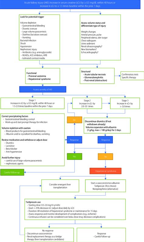 Treatment Algorithm For Acute Kidney Injury Nsaids Non Steroidal