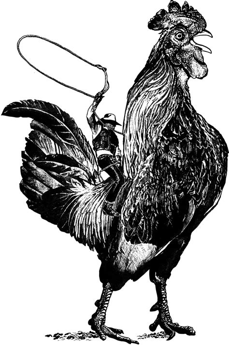 Rooster Clip Art Library