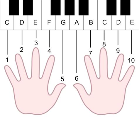 How To Place Your Hands On A Piano Place Your Hands On The Piano In