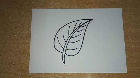 How To Draw Leaf Draw Leaves Easy Step By Step Drawing For Kids