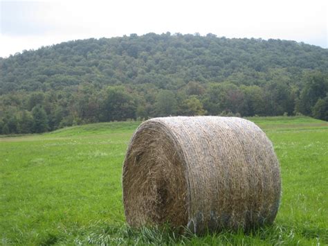 Safety Recommendations When Baling And Handling Round Bales Farm