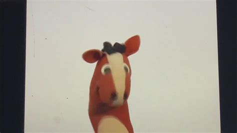 Baby Einstein World Animals Adventure Horse Sound Youtube
