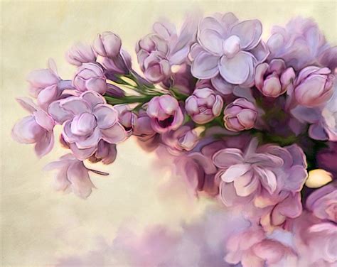 Floral Photography Art Photo Lilac Photo Lilac Print Shabby Chic