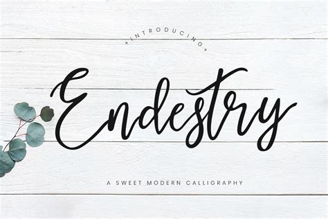 Endestry Modern Calligraphy Font Free Download