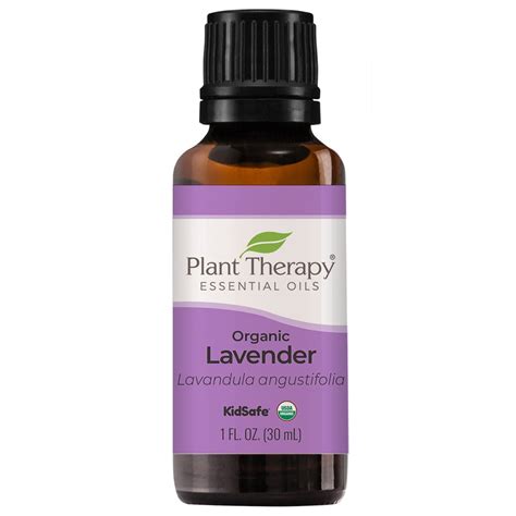 Plant Therapy Organic Lavender Essential Oil 100 Pure Usda Certified