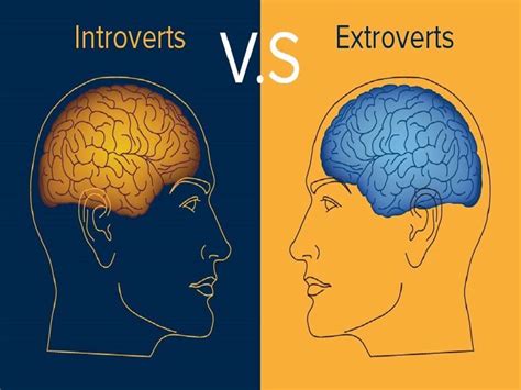 Introvert Vs Extrovert Quiz