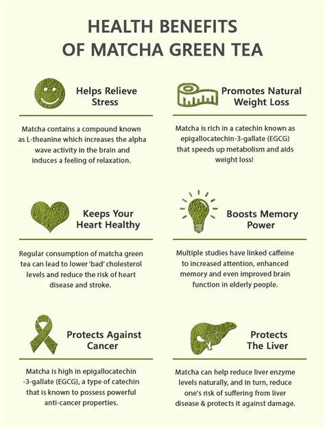 7 Great Health Benefits Of Drinking Matcha Green Tea Teafame
