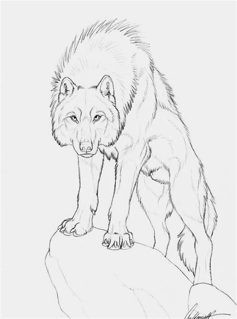 Realistic Wolf Drawing Tutorial At Getdrawings Free Download