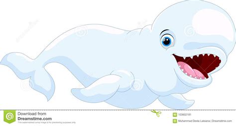 Baby Beluga Whale Clipart