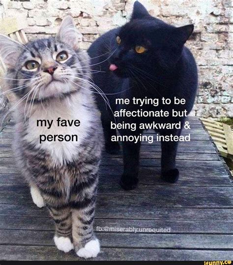 Being Awkward Annoying Inste Cute Memes Animal Memes Stupid