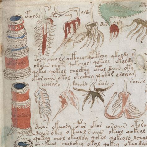 The Voynich Manuscript Is An Illustrated Codex Hand Written In An