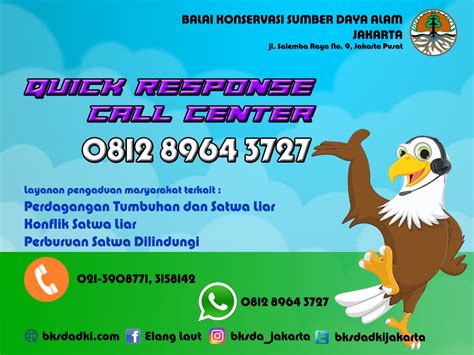 Now you can access your accounts, credit cards, loans, demat account and investment services by calling on a single number. Call Center Wisata Ranu Pane ~ Call Center Wawancara ...