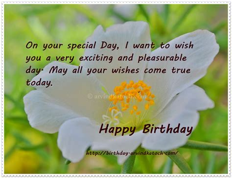 On Your Special Day True Picture Happy Birthday Card True Picture Hd