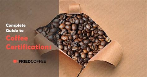 This machine requires you to manually grind and tamp the beans into a filter before starting the machine. Coffee Brewing Tips, Recipes, Reviews & Articles ...