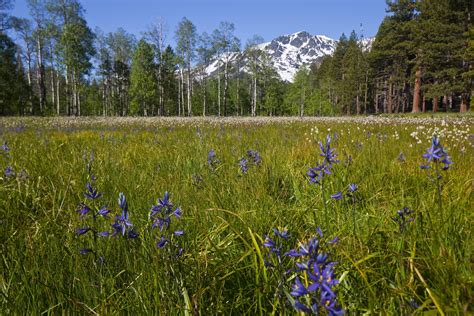 1. Sierra Nevada's Spicy Secret: A Hidden Town Revealed