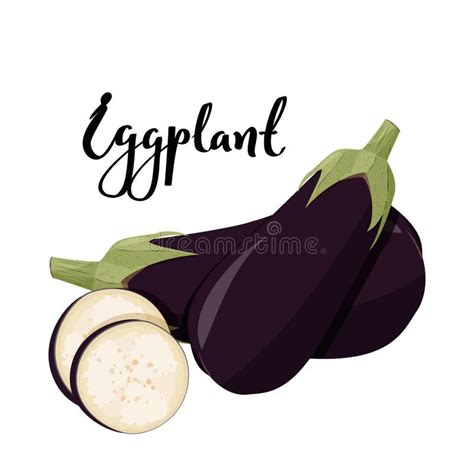 Eggplant Whole Realistic Image Vector Illustration Isolated On White